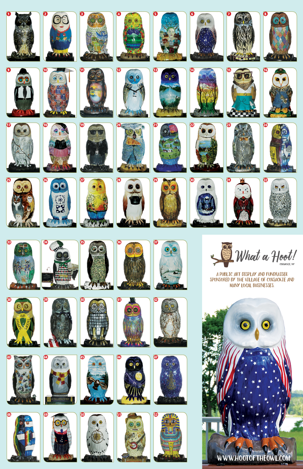 What a Hoot! brochure owls coxsackie